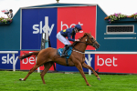 260725-Race 1-Golden Palace-0219