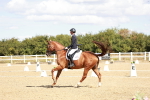 SBM_009360