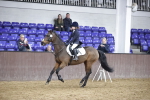 SBM_001653