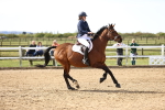 SBM_000797