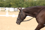 SBM_005475