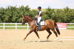 SBM_002020