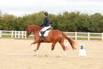 SBM_002272