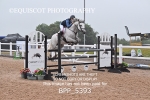 BPP_5393