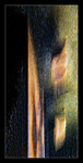 Form and Shadow