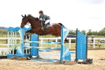 SBM_003378