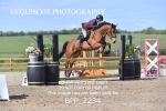 BPP_2234