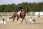SBM_022628