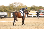 SBM_009598