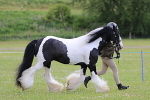 SIAL5758