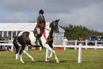 Skewbald and Piebald Ridden Championship portfolio