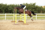 SBM_006625