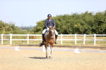 SBM_009318