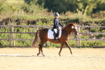 SBM_009185