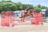 BPP_1635