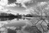 Carew Tidal Mill in Monochrome
