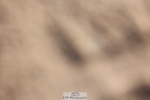 250427-083127-14507