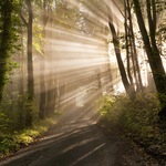 Morning rays, Castleton