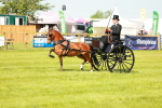 SBM_02691
