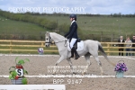 BPP_9147