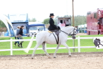 SBM_03386