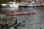IMG_7870