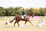SBM_008851