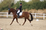 SBM_015647