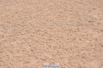 230531A-113008-00186