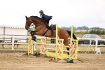 SBM_025691