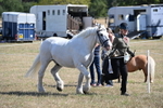 WJ6_4538