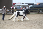 SBM_008062