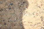 SBM_008407
