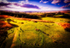 Beaghmore Stone Circles I