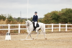 SBM_001816