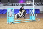 SBM_000299