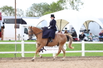 SBM_03215