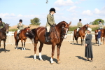 SBM_02337
