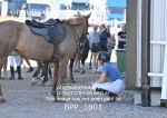 BPP_1801
