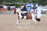 BPP_4242