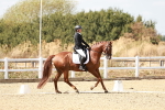 SBM_019280