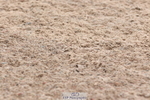 240706A-112838-01352