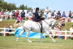 3E7A9612