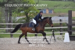 BPP_3761