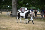 WJ6_8123