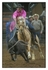Calf Roping 1