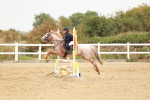 SBM_008263