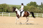 SBM_010139