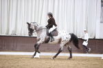SBM_02463