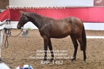 BPP_1482